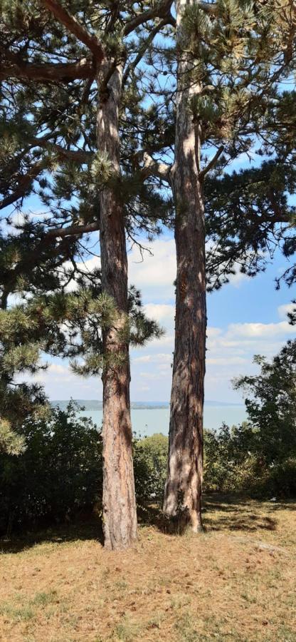 Rita Apartman Siófok Exteriér fotografie